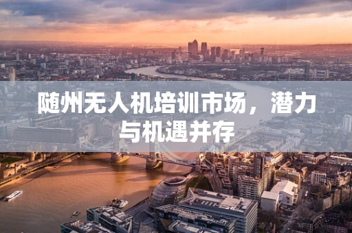 随州无人机培训市场，潜力与机遇并存
