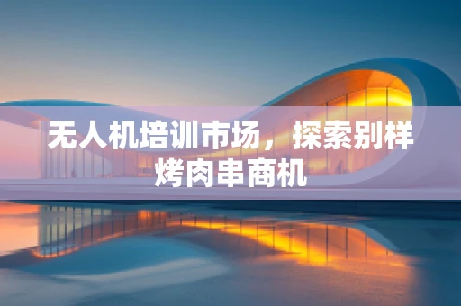 无人机培训市场，探索别样烤肉串商机