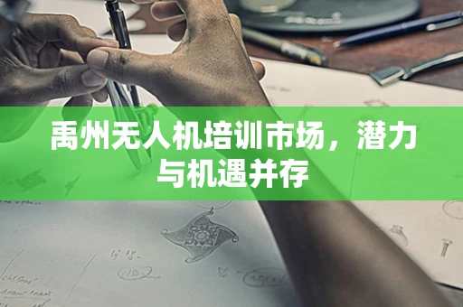 禹州无人机培训市场，潜力与机遇并存