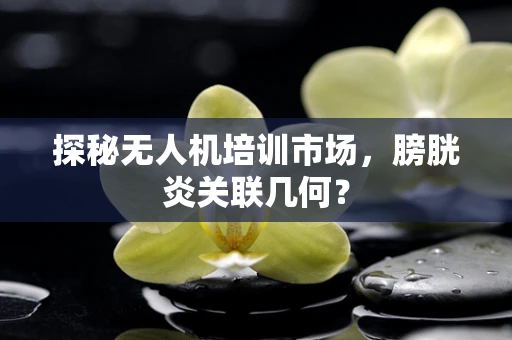 探秘无人机培训市场，膀胱炎关联几何？