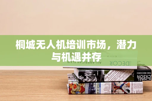 桐城无人机培训市场，潜力与机遇并存