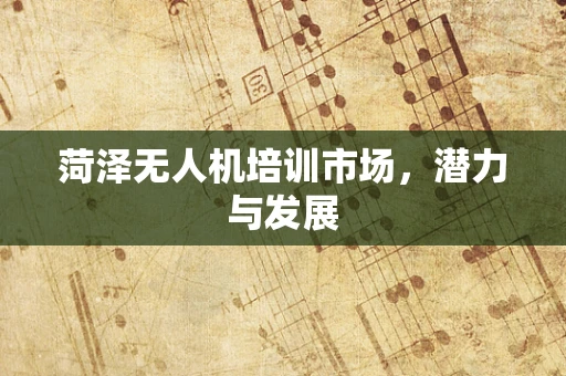 菏泽无人机培训市场，潜力与发展