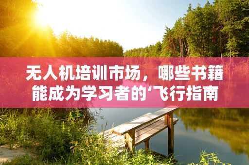 无人机培训市场，哪些书籍能成为学习者的‘飞行指南’？