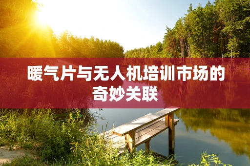 暖气片与无人机培训市场的奇妙关联