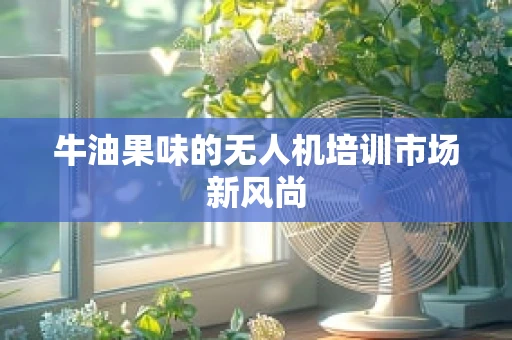 牛油果味的无人机培训市场新风尚
