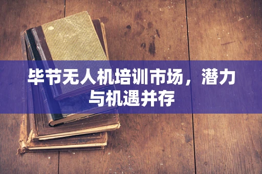 毕节无人机培训市场，潜力与机遇并存