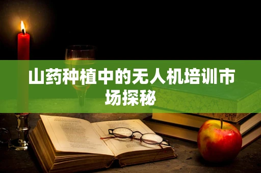 山药种植中的无人机培训市场探秘