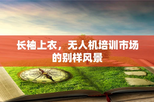 长袖上衣，无人机培训市场的别样风景