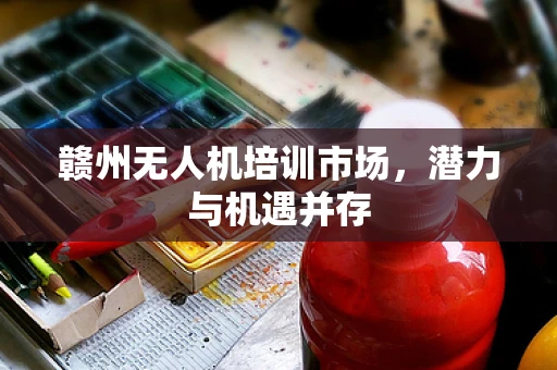 赣州无人机培训市场，潜力与机遇并存