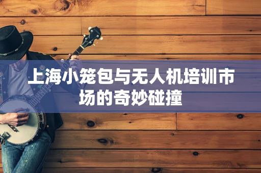 上海小笼包与无人机培训市场的奇妙碰撞