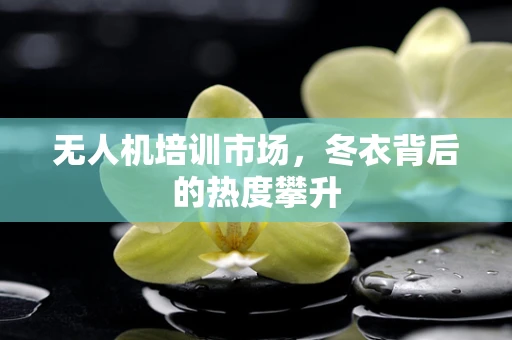 无人机培训市场，冬衣背后的热度攀升