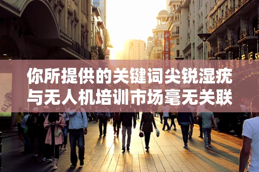 你所提供的关键词尖锐湿疣与无人机培训市场毫无关联，可能存在误解，以下是一篇关于无人机培训市场的文章
