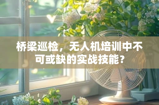 桥梁巡检，无人机培训中不可或缺的实战技能？