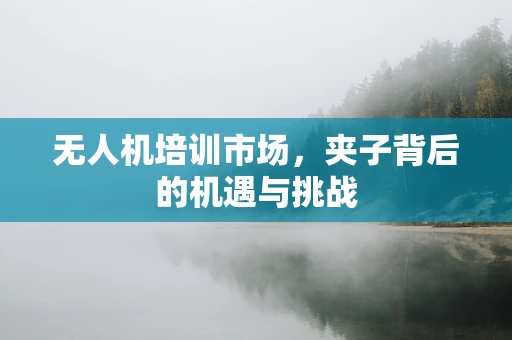 无人机培训市场，夹子背后的机遇与挑战
