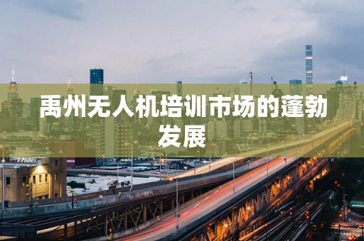 禹州无人机培训市场的蓬勃发展