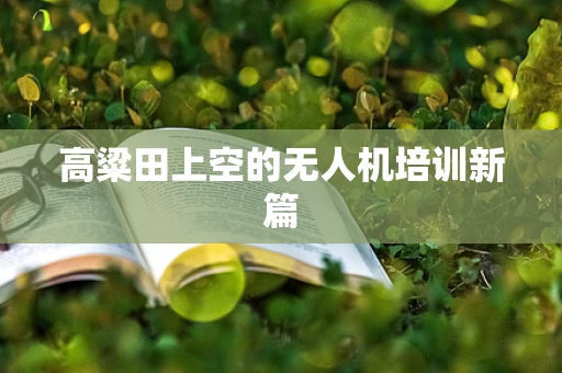 高粱田上空的无人机培训新篇