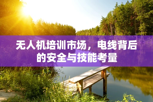 无人机培训市场，电线背后的安全与技能考量