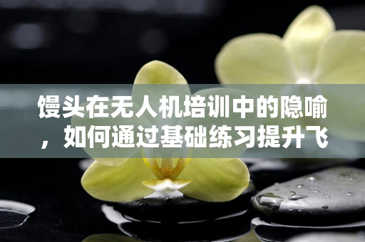 馒头在无人机培训中的隐喻，如何通过基础练习提升飞行技能？