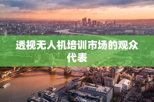 透视无人机培训市场的观众代表