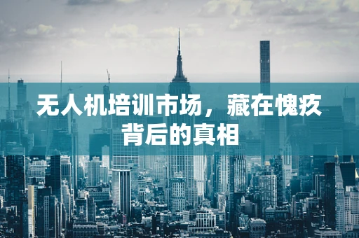 无人机培训市场，藏在愧疚背后的真相