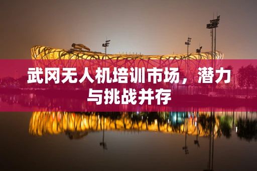 武冈无人机培训市场，潜力与挑战并存