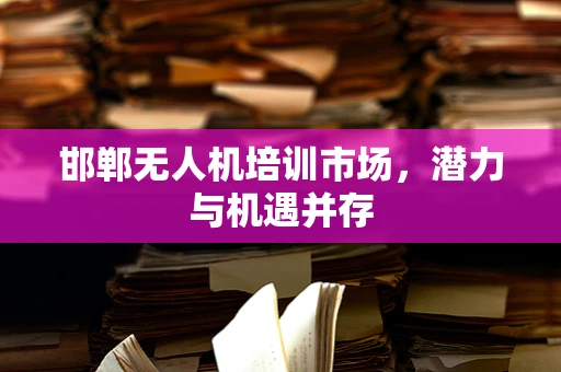 邯郸无人机培训市场，潜力与机遇并存