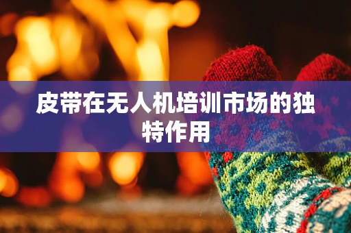 皮带在无人机培训市场的独特作用