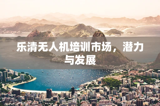 乐清无人机培训市场，潜力与发展