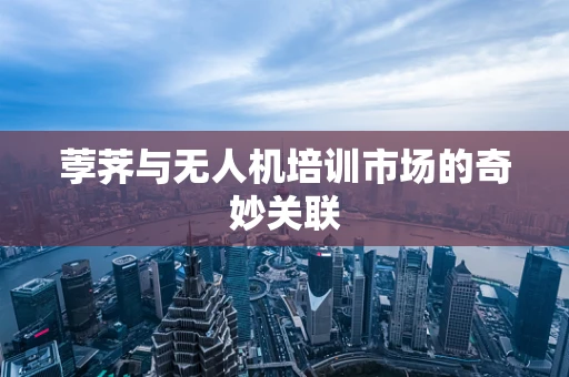 荸荠与无人机培训市场的奇妙关联