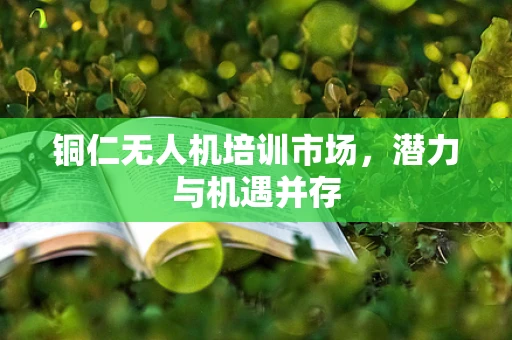 铜仁无人机培训市场，潜力与机遇并存