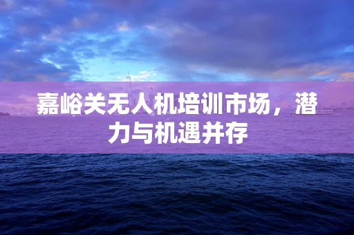 嘉峪关无人机培训市场，潜力与机遇并存