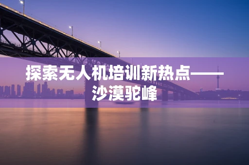 探索无人机培训新热点——沙漠驼峰