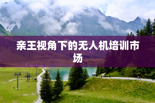 亲王视角下的无人机培训市场