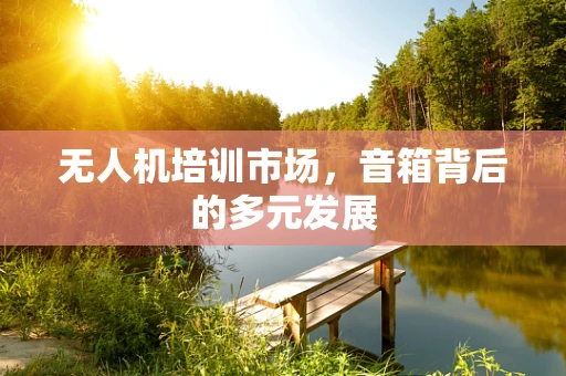 无人机培训市场，音箱背后的多元发展