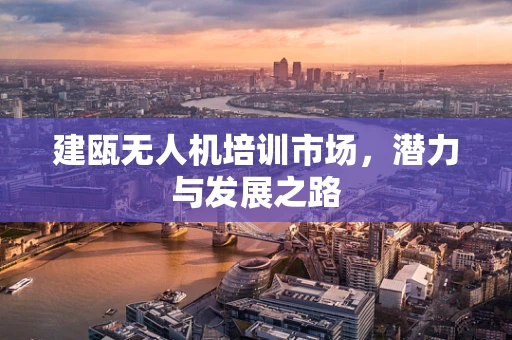 建瓯无人机培训市场，潜力与发展之路
