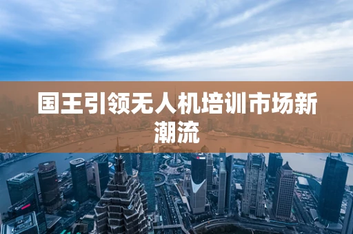 国王引领无人机培训市场新潮流