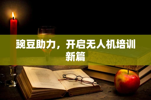 豌豆助力，开启无人机培训新篇