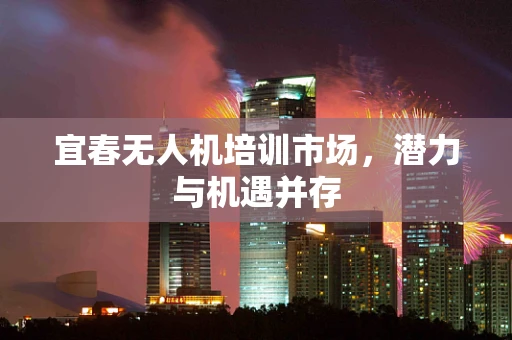 宜春无人机培训市场，潜力与机遇并存