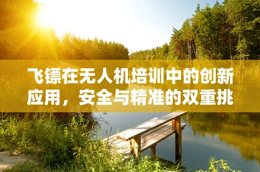 飞镖在无人机培训中的创新应用，安全与精准的双重挑战