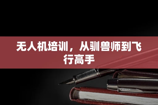 无人机培训，从驯兽师到飞行高手
