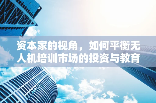资本家的视角，如何平衡无人机培训市场的投资与教育质量？