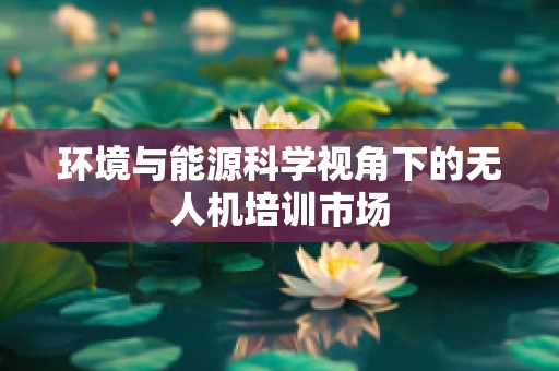 环境与能源科学视角下的无人机培训市场