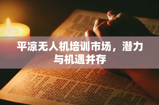 平凉无人机培训市场，潜力与机遇并存