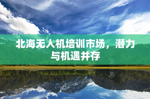 北海无人机培训市场，潜力与机遇并存