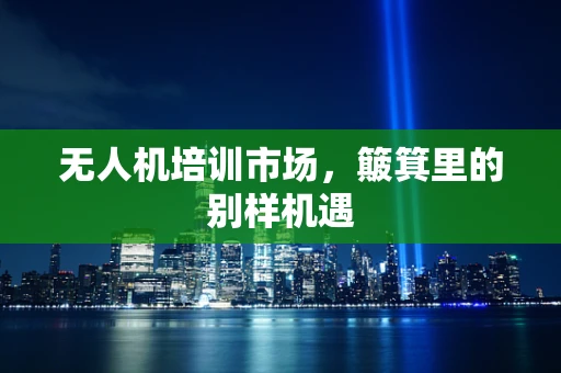 无人机培训市场，簸箕里的别样机遇