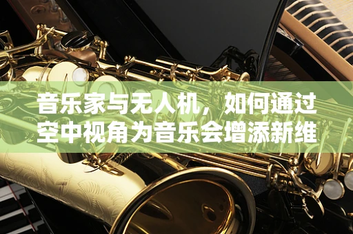 音乐家与无人机，如何通过空中视角为音乐会增添新维度？