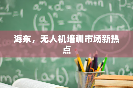 海东，无人机培训市场新热点