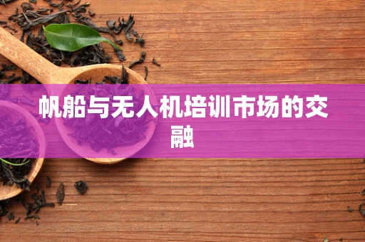 帆船与无人机培训市场的交融