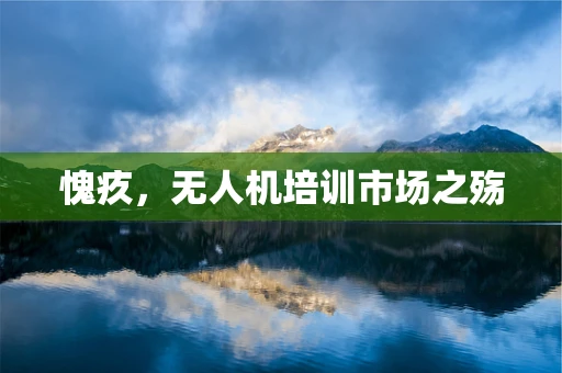 愧疚，无人机培训市场之殇