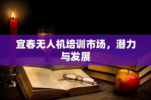 宜春无人机培训市场，潜力与发展